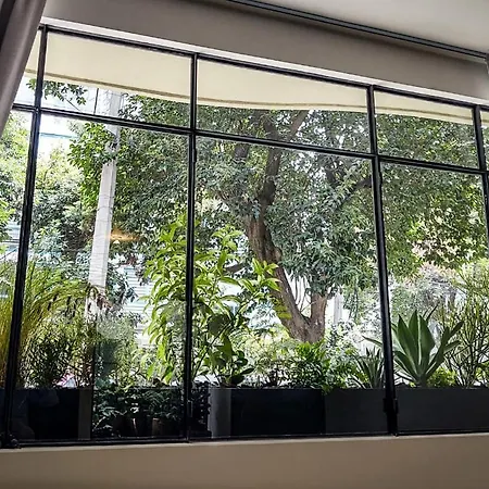 Casa Alfredo